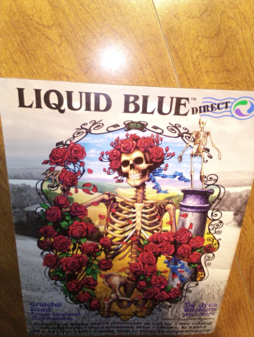 Grateful Dead Dupree's Diamond Magazine Lot Of Eight Issues 30,31,33,34,35,37-39 - Picture 8 of 16